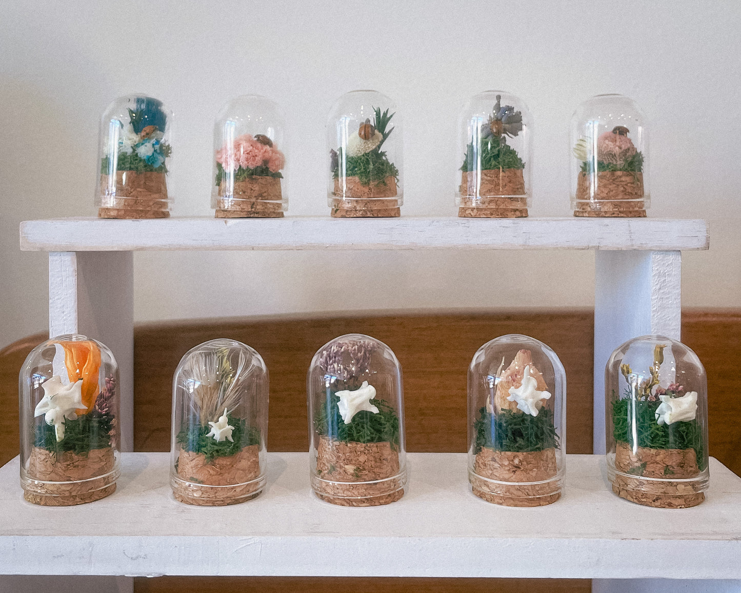 Mini Domes by Vault of Viridian