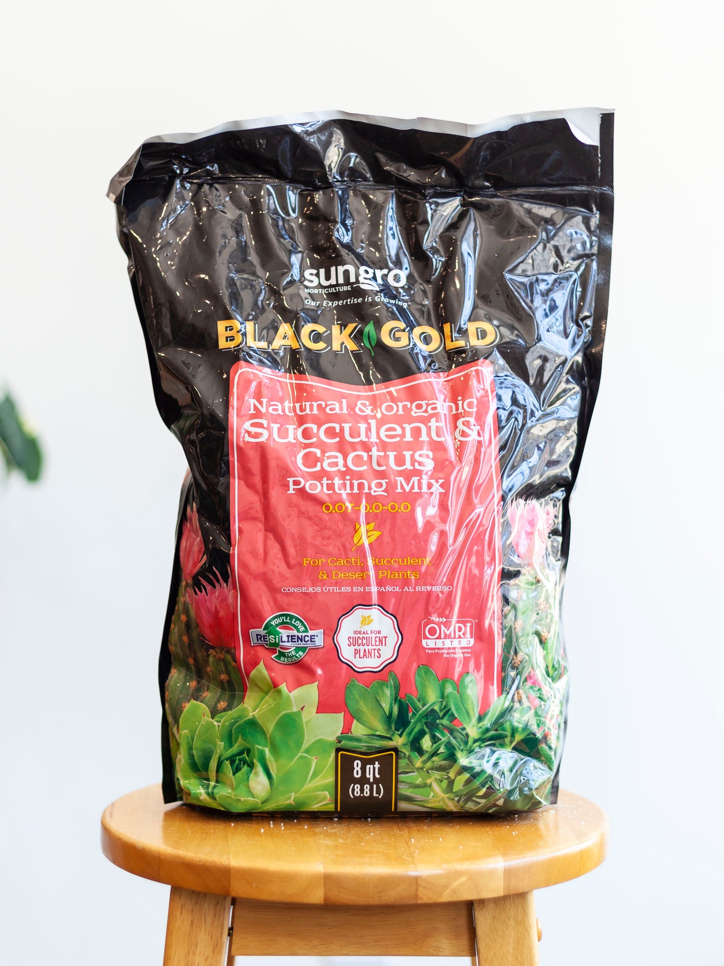 Black Gold Cactus Soil 8qt