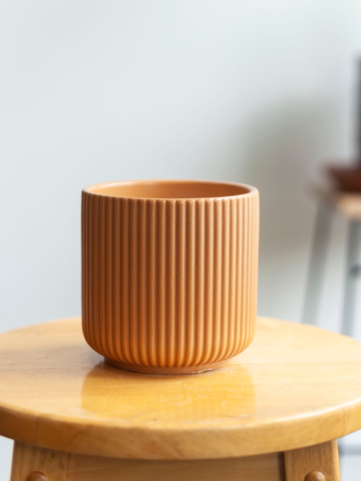 Lucy Pot