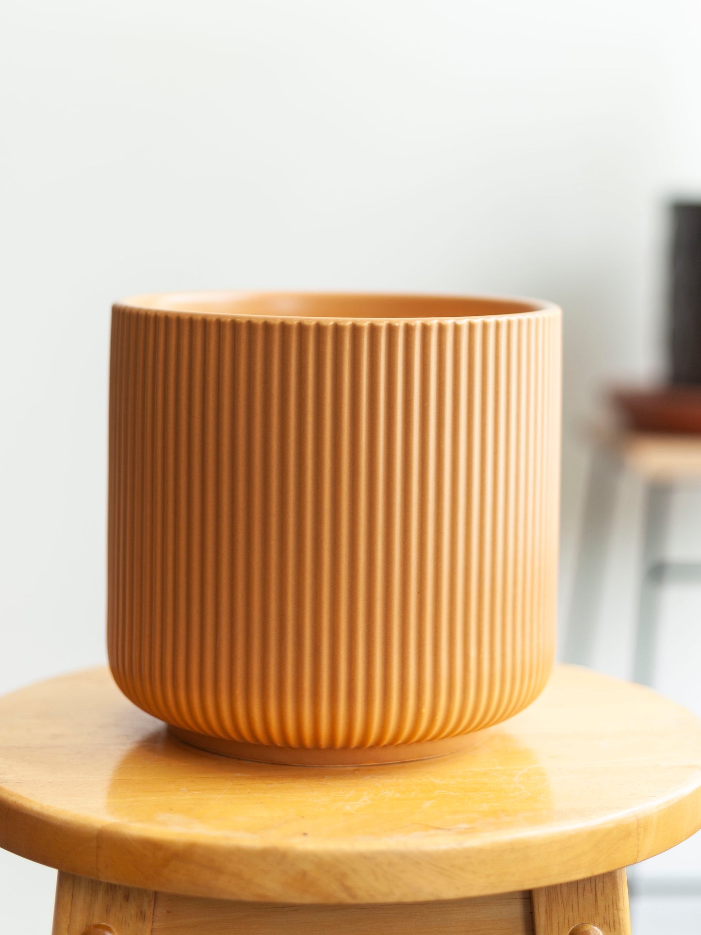 Lucy Pot