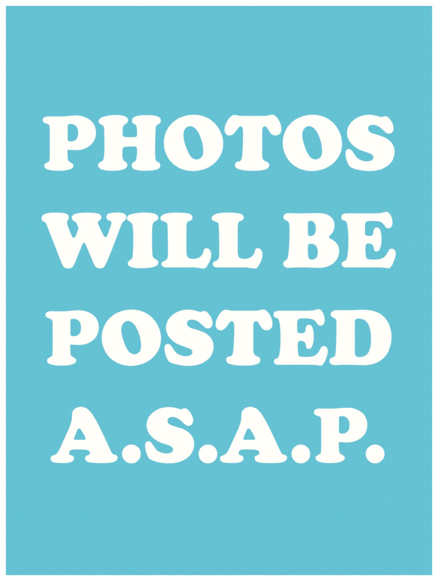 Philodendron 'Lemon-Lime' 6"