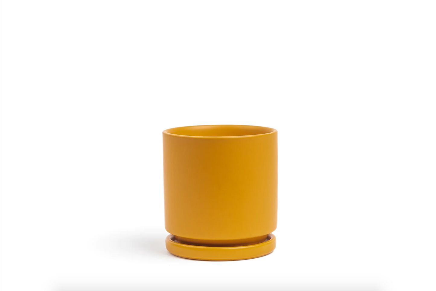 Gemstone Cylinder Pot w/ Saucer 8.25"