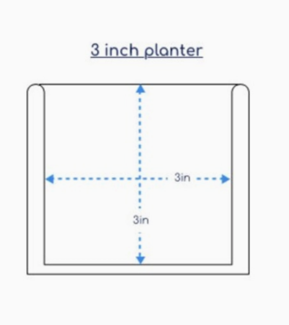 Rainbow Watercolor Mix Planter 3"