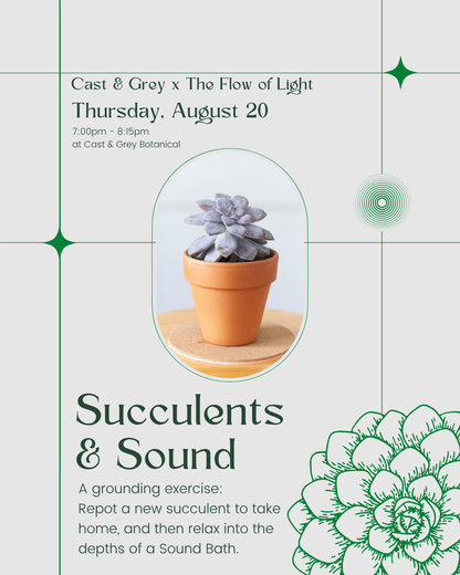 Succulents & Sound - August 20, 2026