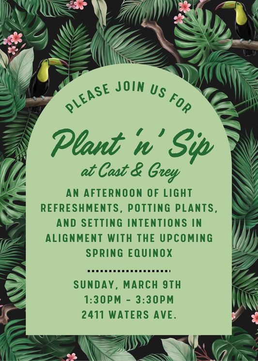 +EVENT: Plant 'N' Sip - March 9, 2025+