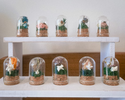 Mini Domes by Vault of Viridian