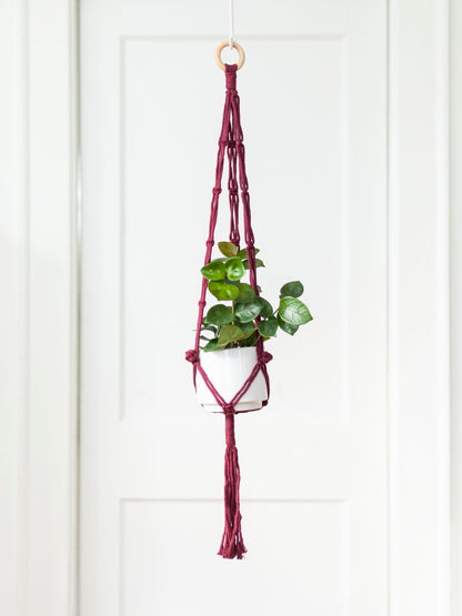 Blooming Fibers Macramé Plant Hangers