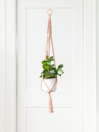 Blooming Fibers Macramé Plant Hangers