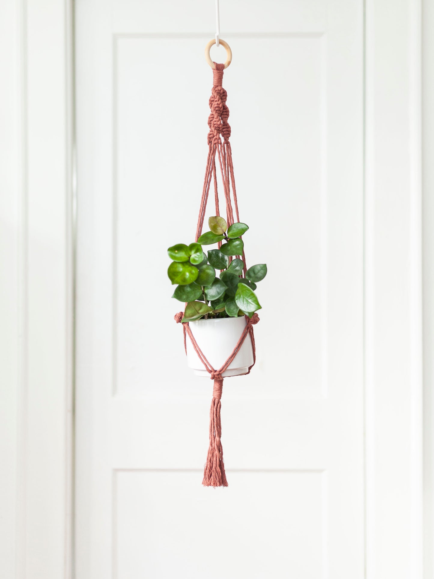 Blooming Fibers Macramé Plant Hangers