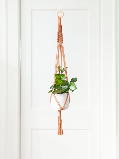 Blooming Fibers Macramé Plant Hangers