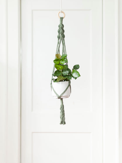 Blooming Fibers Macramé Plant Hangers