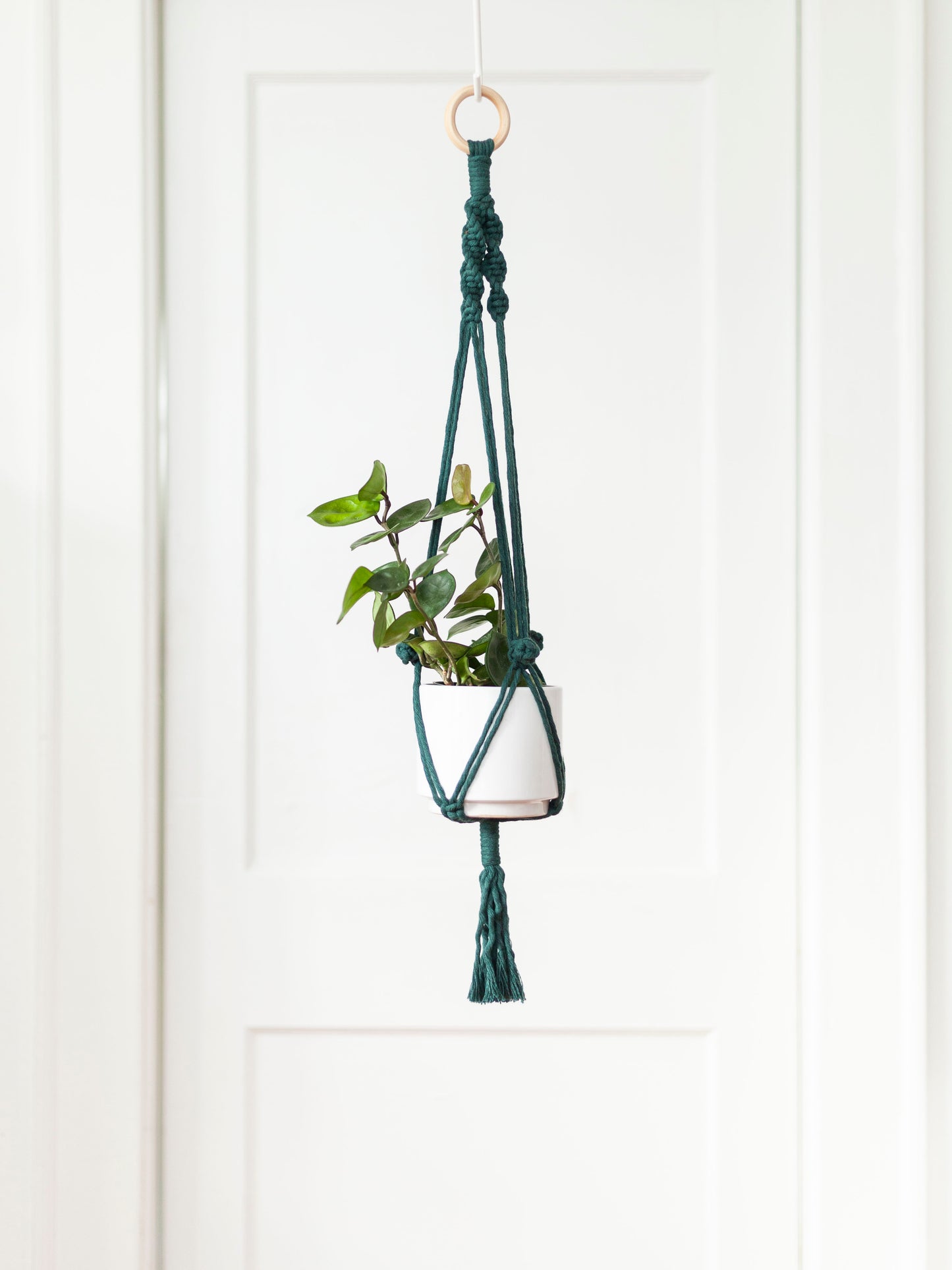 Blooming Fibers Macramé Plant Hangers