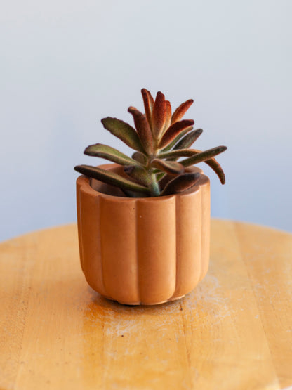 Fluted Cylinder Planter 3"