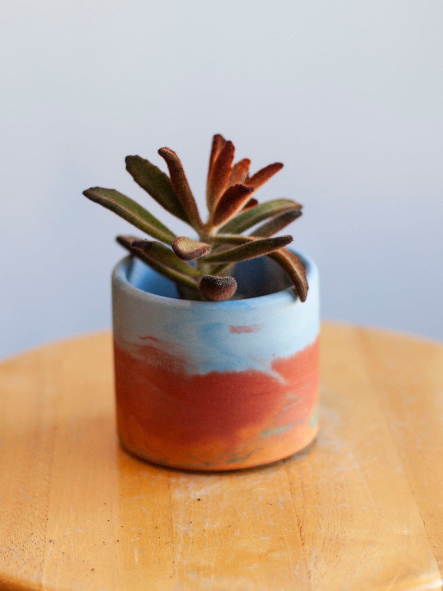 Rainbow Watercolor Mix Planter 3"