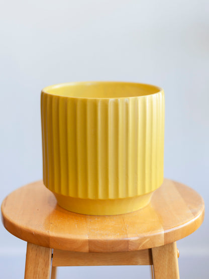 Monroe Pot