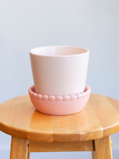 Springvale Pot with Saucer 5"