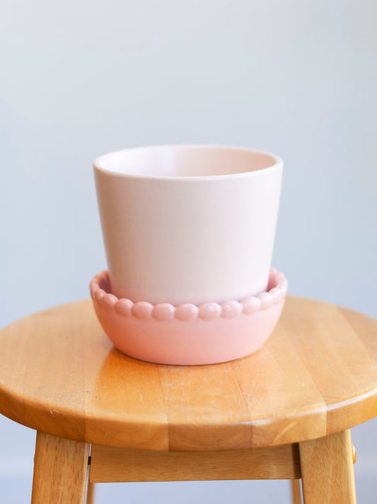 Springvale Pot with Saucer 5"