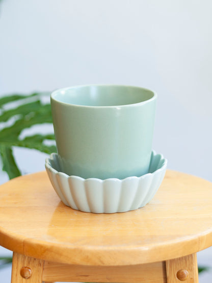 Springvale Pot with Saucer 5"