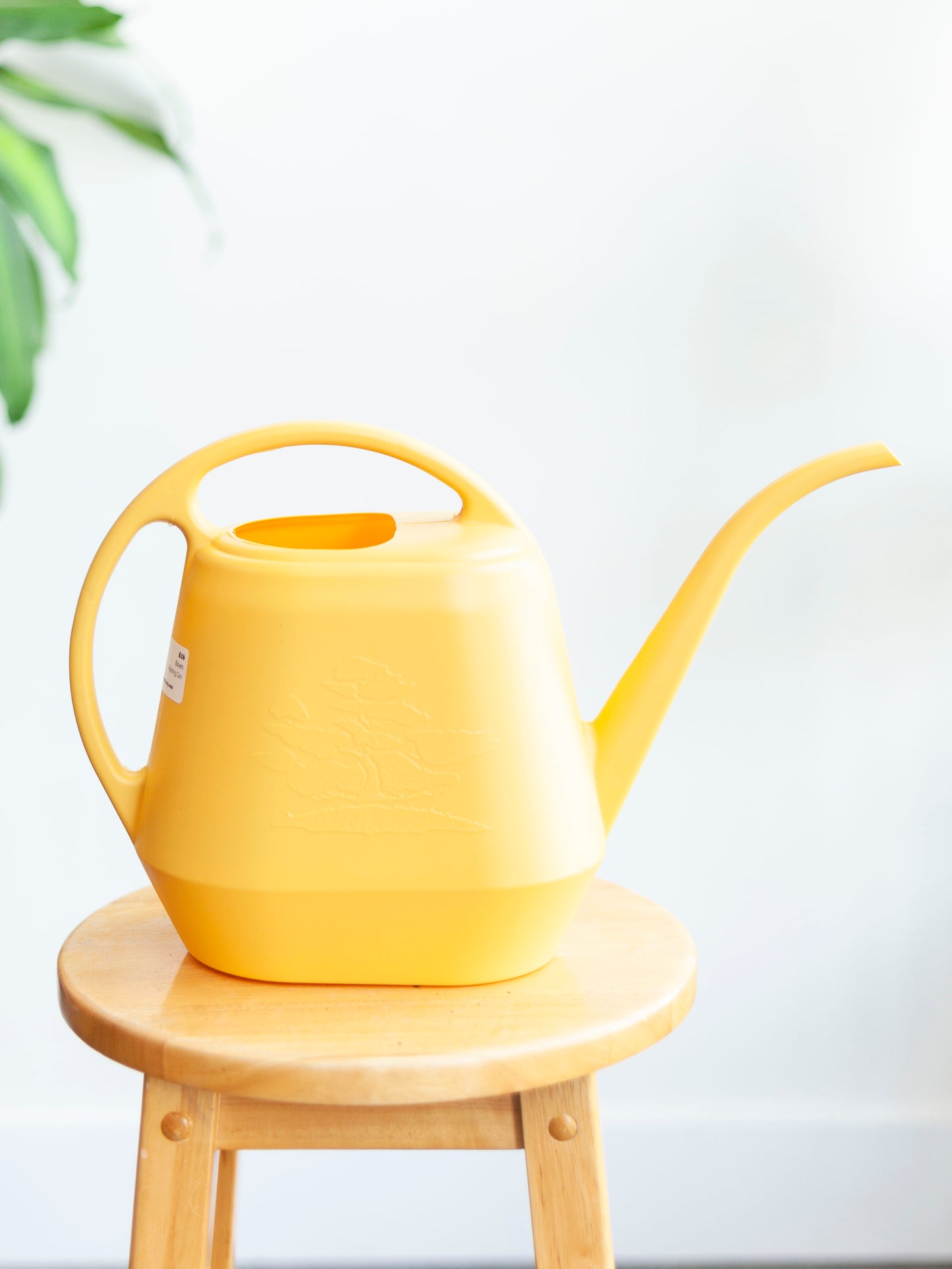 Bloem Watering Can