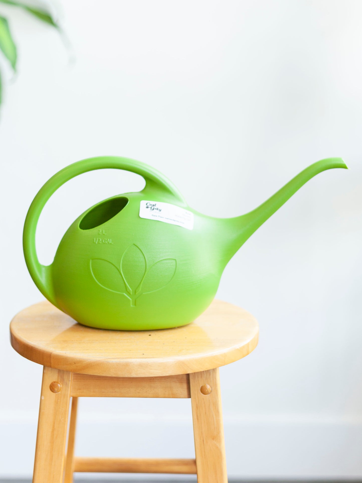 Novelty Watering Can