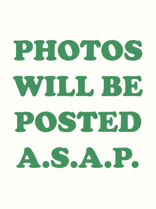 Nepenthes Pitcher Plant 'Miranda' Hanging Basket 6"