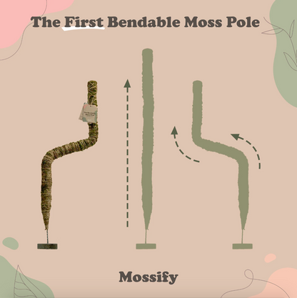 Mossify Bendable Moss Pole 16"