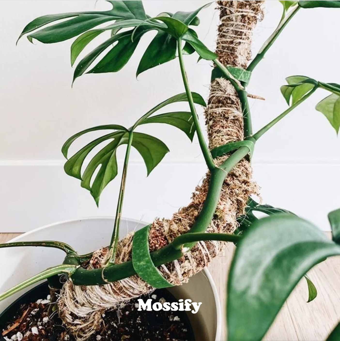 Mossify Bendable Moss Pole 16"