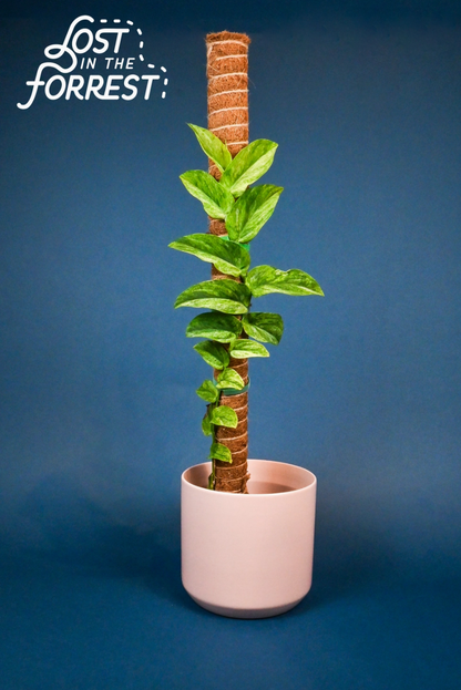 Stackable Coir Pole