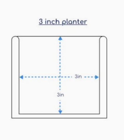 Rainbow Watercolor Mix Planter 3"