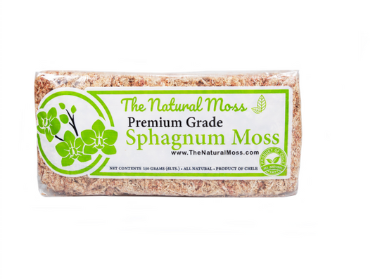 Premium Grade Sphagnum Moss