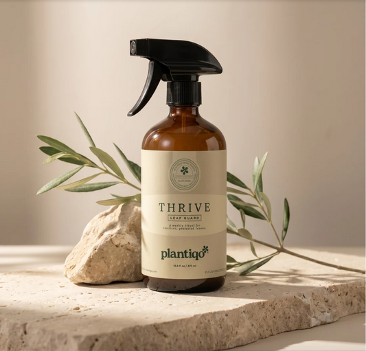 *Plantiqo* Thrive Leaf Guard Elixir