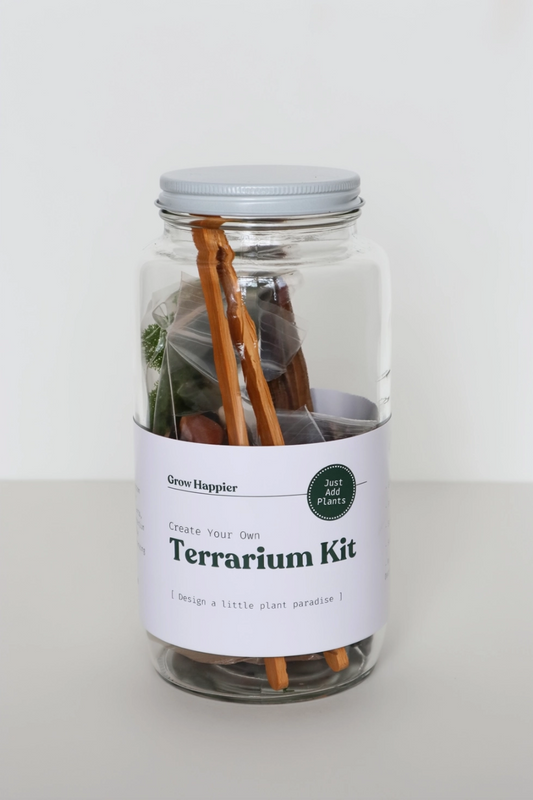 DIY Terrarium Kit