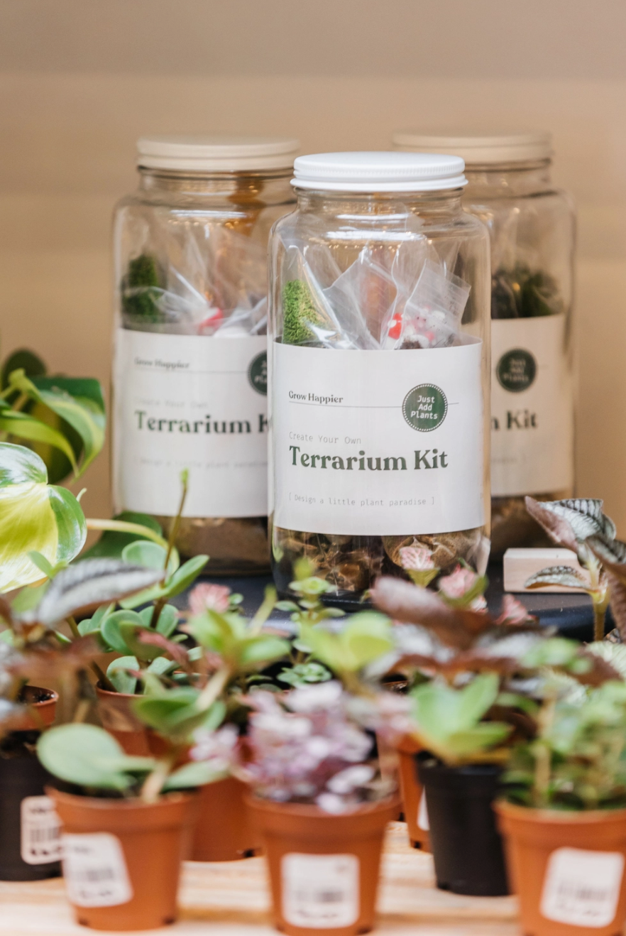DIY Terrarium Kit