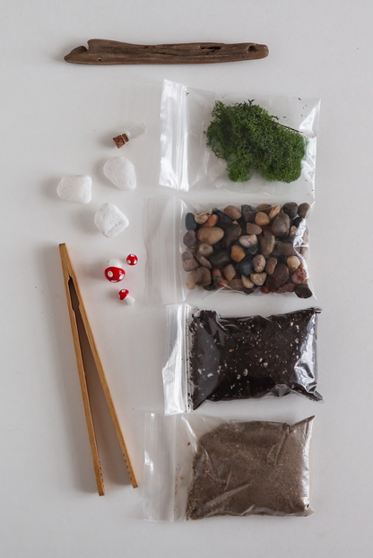 DIY Terrarium Kit